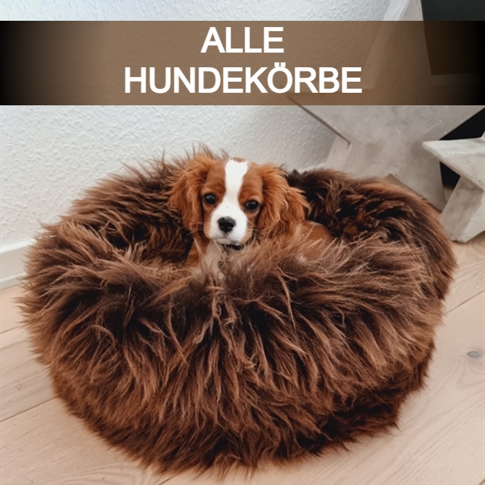 HUNDEKÖRBE